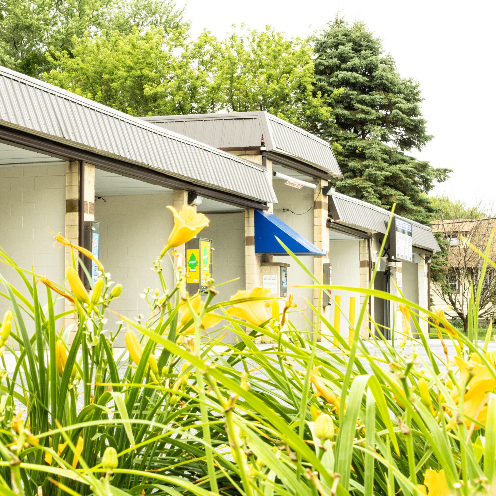 Row of wash bays framed by daylilies in bloom